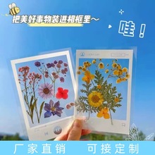 相册干花书签手工diy材料透明标本自制小学生压花植物塑封本春天