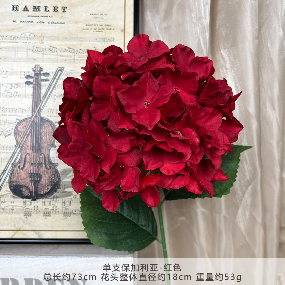 Xq - single bulgarian hydrangea - burgundy