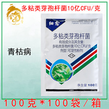 ���� 10�|CFU/�� ��ճ�ѿ�ߗU�� ���џ�����ݲ��Ҙ����z��100��