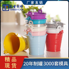 多功能糖果色小铁桶马口铁工艺花盆摆件儿童手提铁皮小桶厂家批发