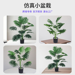 �羳����Gֲ�ѿ�ɢβ��ϲ�������ԼҾ������b[������ֲ���쾰