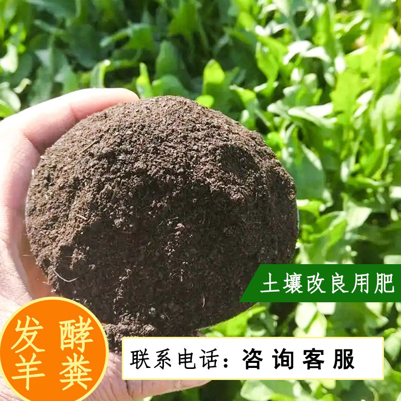 有机肥厂家 发酵腐熟有机肥果树大棚用肥 生物有机肥颗粒 羊粪肥