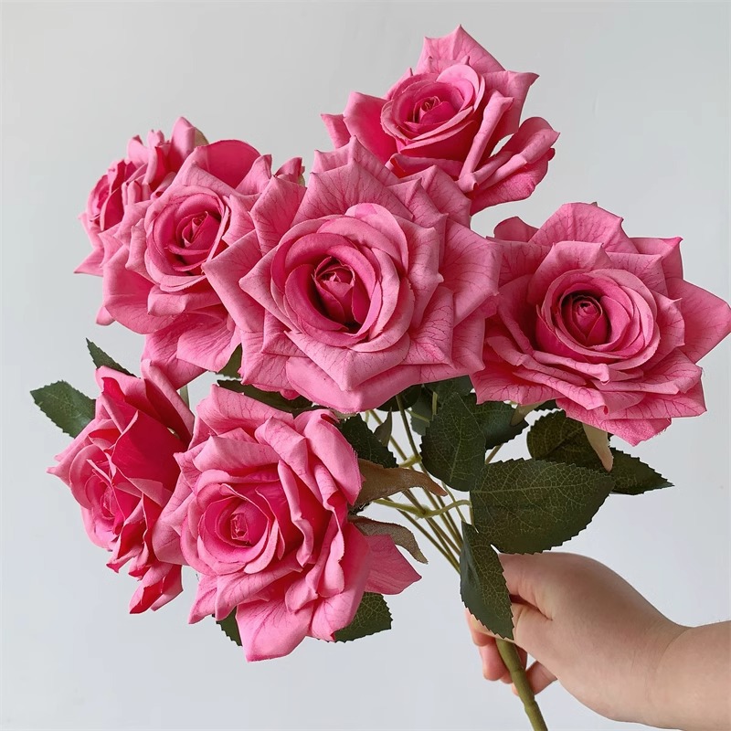 Rose Retro Bundle / Relieve