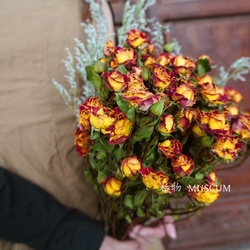 카니발 버블 + 연인을 위한 무료 잔디 장미 50송이 이상