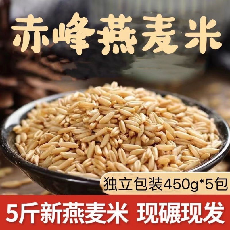 Oat Inner Mongolia Vacuum installation Germ wholesale fresh rice Coarse grains Grain Coarse Cereals Naked oats One piece wholesale