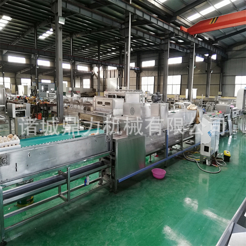 鸭蛋清洗机新品  诸城鸡蛋清洗烘干分级全套设备厂家  洗蛋机价格