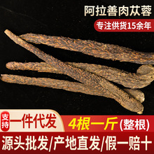 ���l�����ƻ�Į�＾��ɐ��șʳͬԴ�ݾư�����ɐ��4��1��x�B��