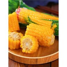 �|�����������r�����SŴ���װ��Ŵ�ك�������վ��b��ʳ����