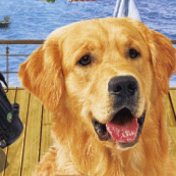 定 制立体光栅3D书签，印刷厂制作3D书签,裸眼光栅3D书签厂家生产