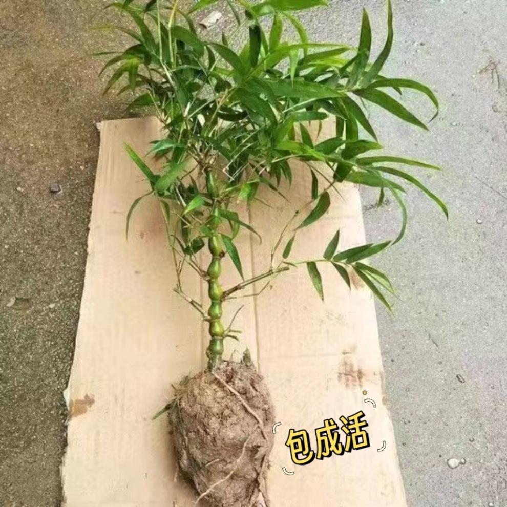 3e1fb5fe-87d8-425e-9fa0-3852aeb44bde.jpe