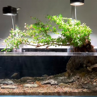 ˮ��÷�~���쾰Ϫ�����쾰�Ϙ�ֲ��ˮ�ఫ���̨�͏d��̨�Gֲ�辰