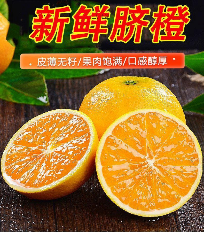 09945e03-4b54-44c8-8650-9bad406e6fcc.jpe