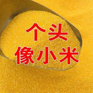 ɽ������������������ӼR�����ా����۰�����������z�^�C�C�^