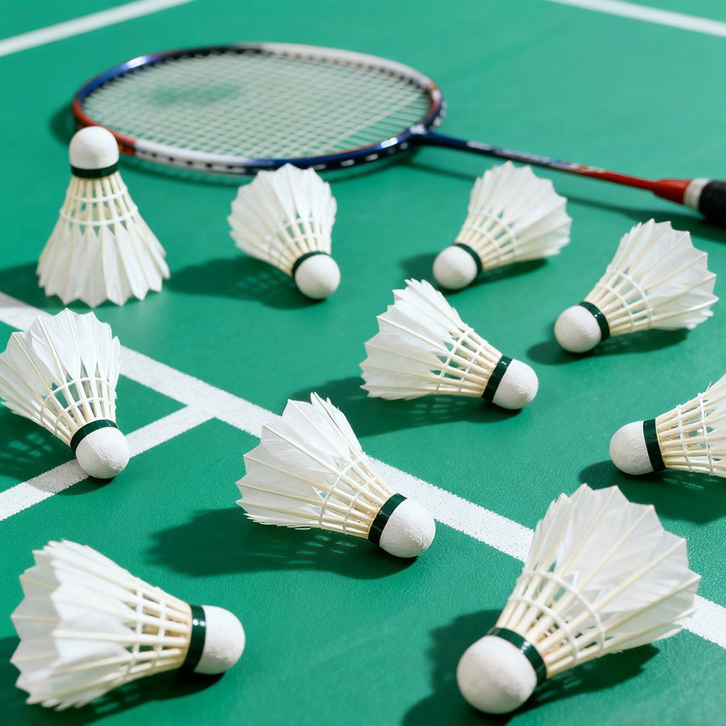 Factory Direct Sales Badminton Real Feather Durable Training 3 Pieces 6 Pieces 12 Pieces Barrel Training Ball Standard Badminton