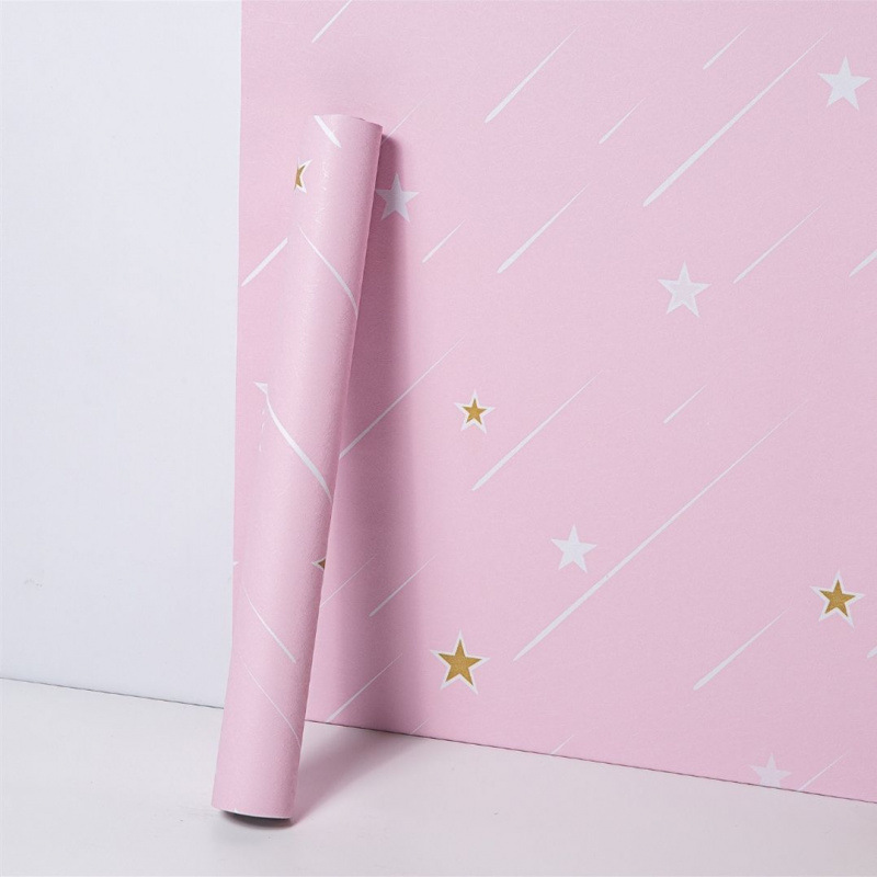 핑크 유성 ⚑ ⚑