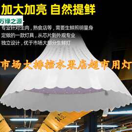 绿鸟新国标生鲜灯猪肉鲜肉照肉灯牛羊肉灯市场灯水果灯白光隐形红