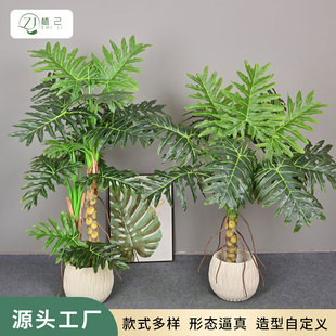 ����Gֲϲ���������������҃ȼҾ�ܛ�b�����b[��ֲ��ϲ����