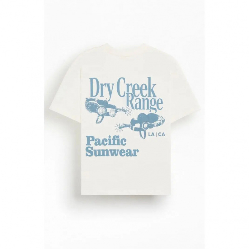 【Cross-Border European Size】Pacsun Men's Dry Creek Range T-Shirt - Multicolor