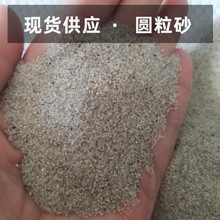 �S��ֱ����Ҏ��A��ɰ ��ͯ�ʘ��׼�ɳ �ߠ�������ð�ɫʯӢɰ