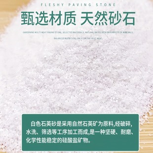 ��ϩ����ʯӢɰ��ɫ��ɳ�~���b�ˮ�^�V��ɰ�Ƶ꟟�Ҹ׃�ͯ�쾰ɳ