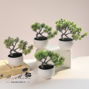 ����ֲ�qӭ�������Է��滨�S��ֱ���Ҿ��b�Ʒһ�����l��������