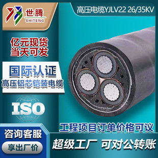 �����Xо�߉���|��YJLV22 8.7/15KV3*50 95 120 185 240 500ƽ��