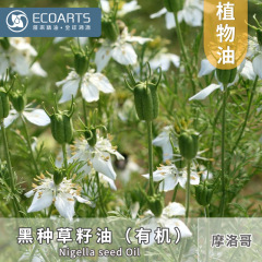 黒種草種子油モロッコ輸入冷圧植物油卸売り精油アロマセラピー潤いベース雅琪精油