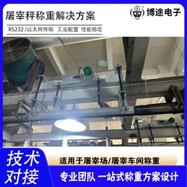 电子秤;称重传感器;其他衡器