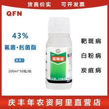 ���ݶ� ¶��ɭ��ݮ�����S�ϰ׷۲��а߲��~ù���rș������100ml