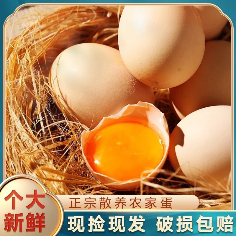 【破损包赔】农家散养土鸡蛋笨鸡蛋营养新鲜虫草月子蛋农家土鸡蛋