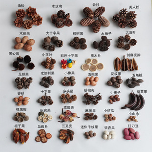 ��Ȼ��������ɹ����v�����b��ֹ�diy���ϰ��׃��@�h���Ĕz����