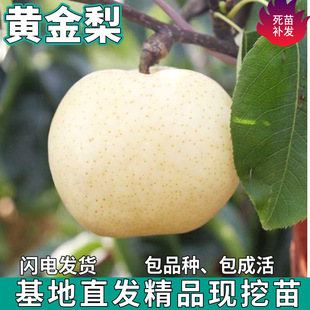 һ�����l �S����������Ե����ϱ���ͥԺ�ļ��Nֲ�ش�޽������