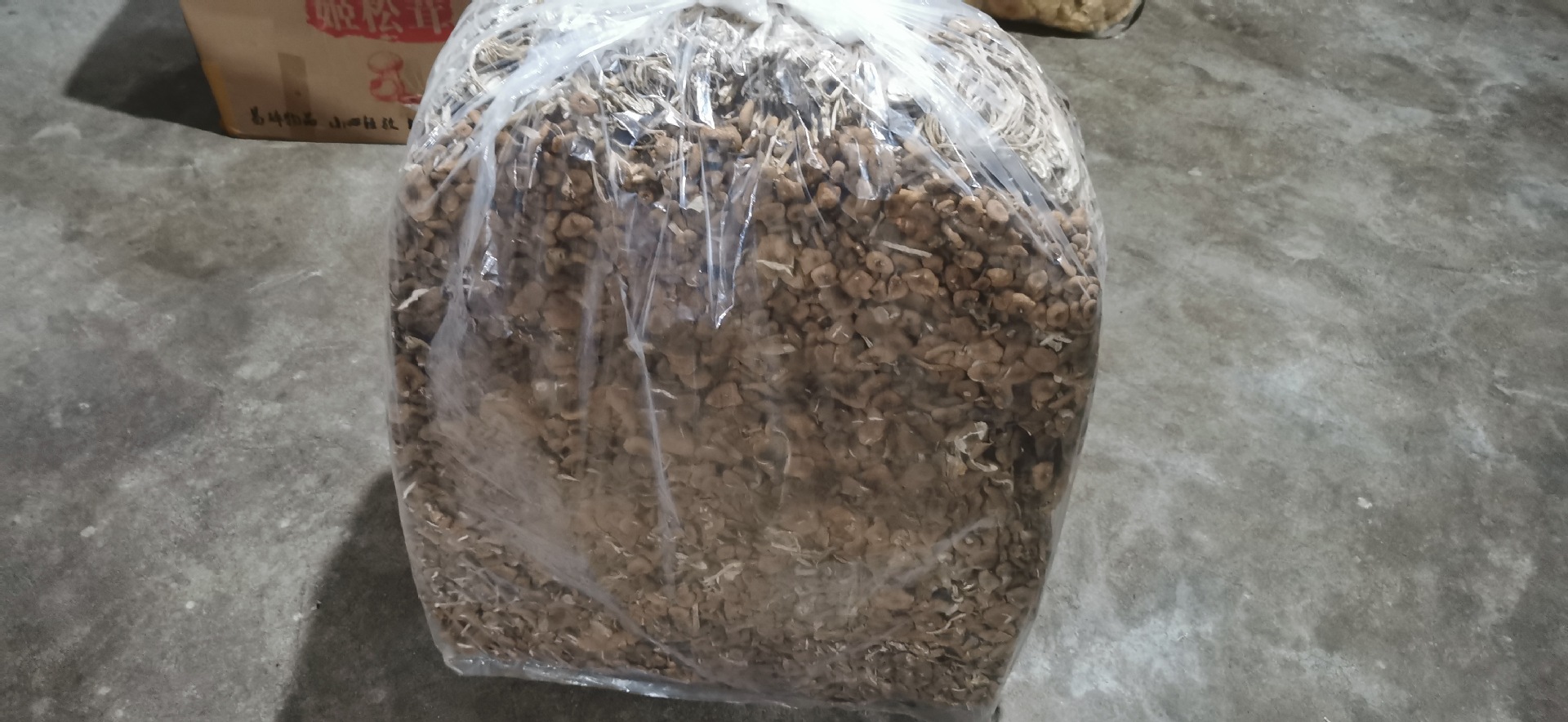 微信图片_20220713154203