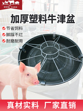 �Ӻ����i�ϲ��i��ţ����A���iʳ���u���ZС�i�a�ϲ����ɲ�ʳ��