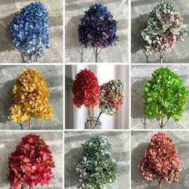 宝塔渐变木绣球 保鲜花礼盒手工花材家居插花圣诞节礼物永生花DIY