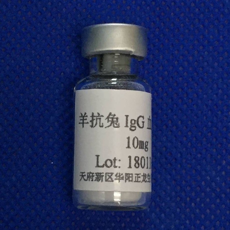����IgG����-1.0MG