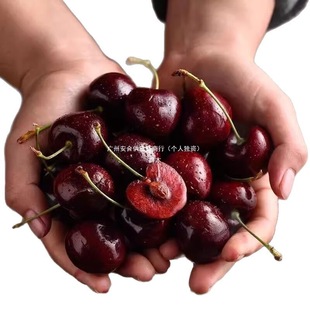 ����܇�������rˮ�����]5��Y���b���������ЋD�M�ڙ��ҬF؛��S