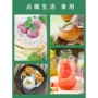 驱蚊食用盆栽水培绿植