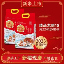 2023新米臻品龙稻18黑龙江东北大米五常临县5kg劲道Q弹优质原味