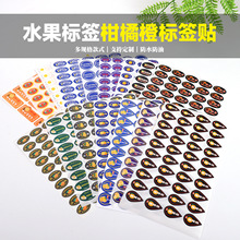 ����ˮ�������z�˺�ɰ�ǽ��ָ̱��ǳȐ���Ѫ���M��Ě�����̘��N��