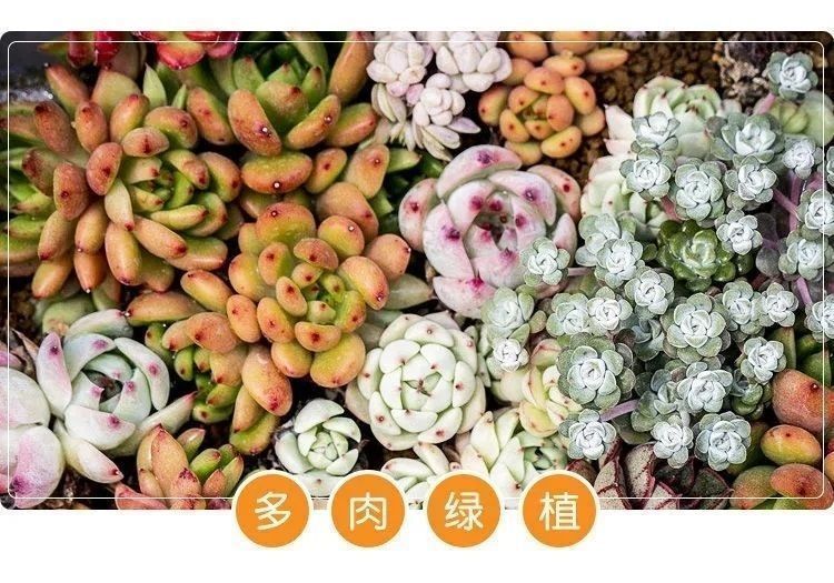 c313630f-d6ed-46fa-a0f6-0a4c838c15bf.jpe