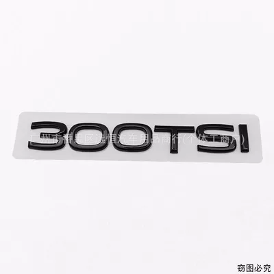 car emblem, body number, Car logo - standard-300tsi