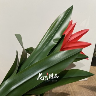 �҃��쾰���Ը�Ʒ�|��ٻ������P��/���\��ֻ����t�Ʈ��^������