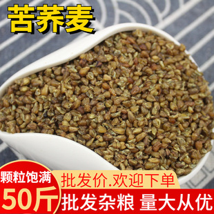 ���w���� ȫ��ѿ���w��50��ڿ��w�w���w��������s�Z���l