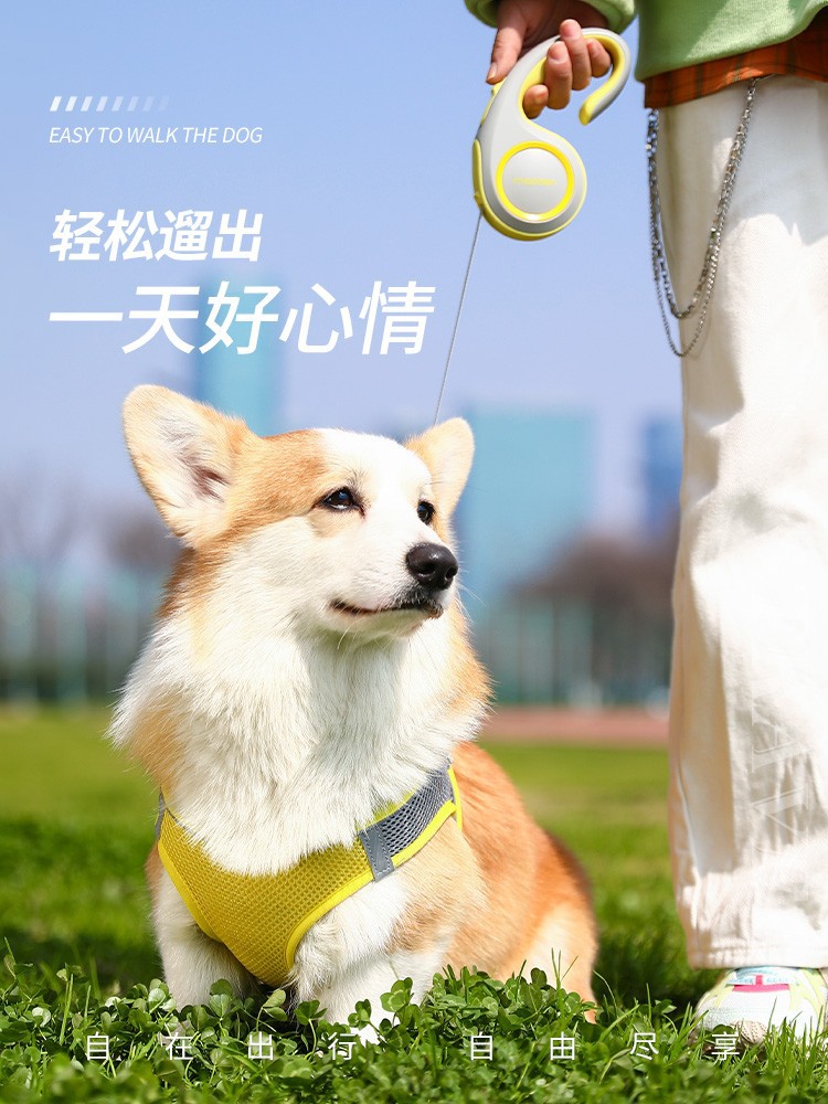 狗狗牵引绳自动伸缩中小型犬泰迪比熊柯基外出狗绳遛狗链子牵狗绳