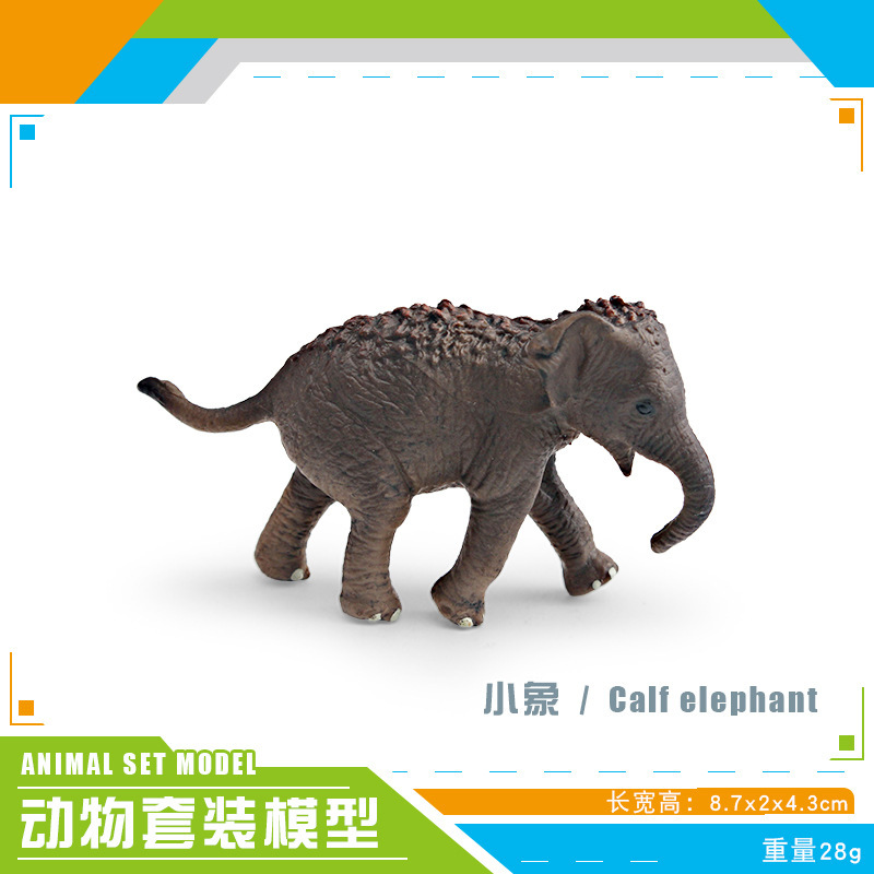 Pl127 - 800 elefante pequeño 28G