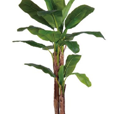 Árbol de plátano de simulación personalizado Árbol de plátano de simulación de venta caliente de Amazon Árbol de plátano de simulación de tiro de boda