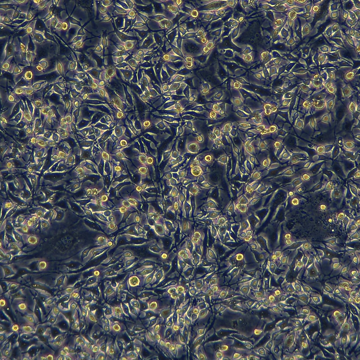 2025-11-05 16:08:19.jpg