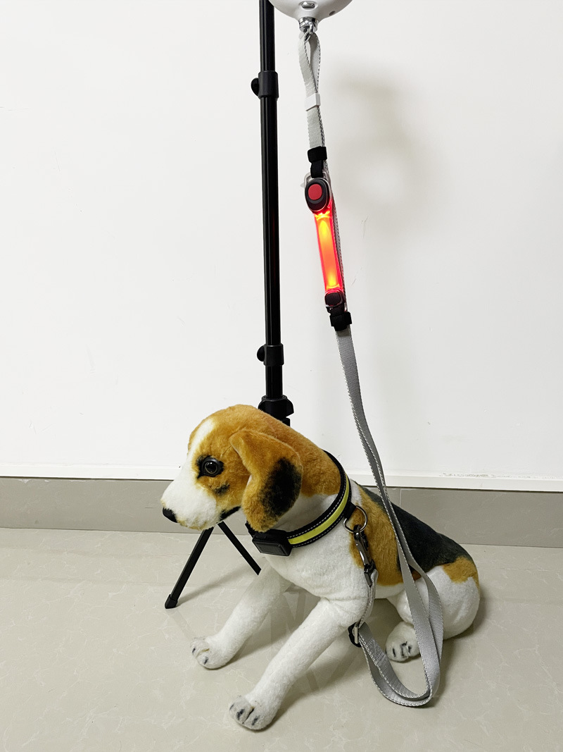 宠物臂带灯24.jpg