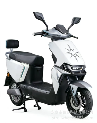 Elektrikli motosikletlər — City Riding, Balance Scooter - white-60v20ah-lead-acid-battery